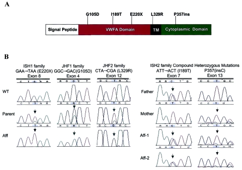 Figure  3