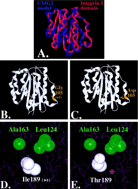 Figure  4