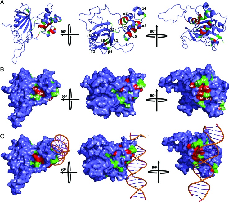 Figure 7.