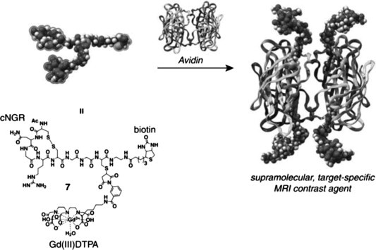 Scheme 5