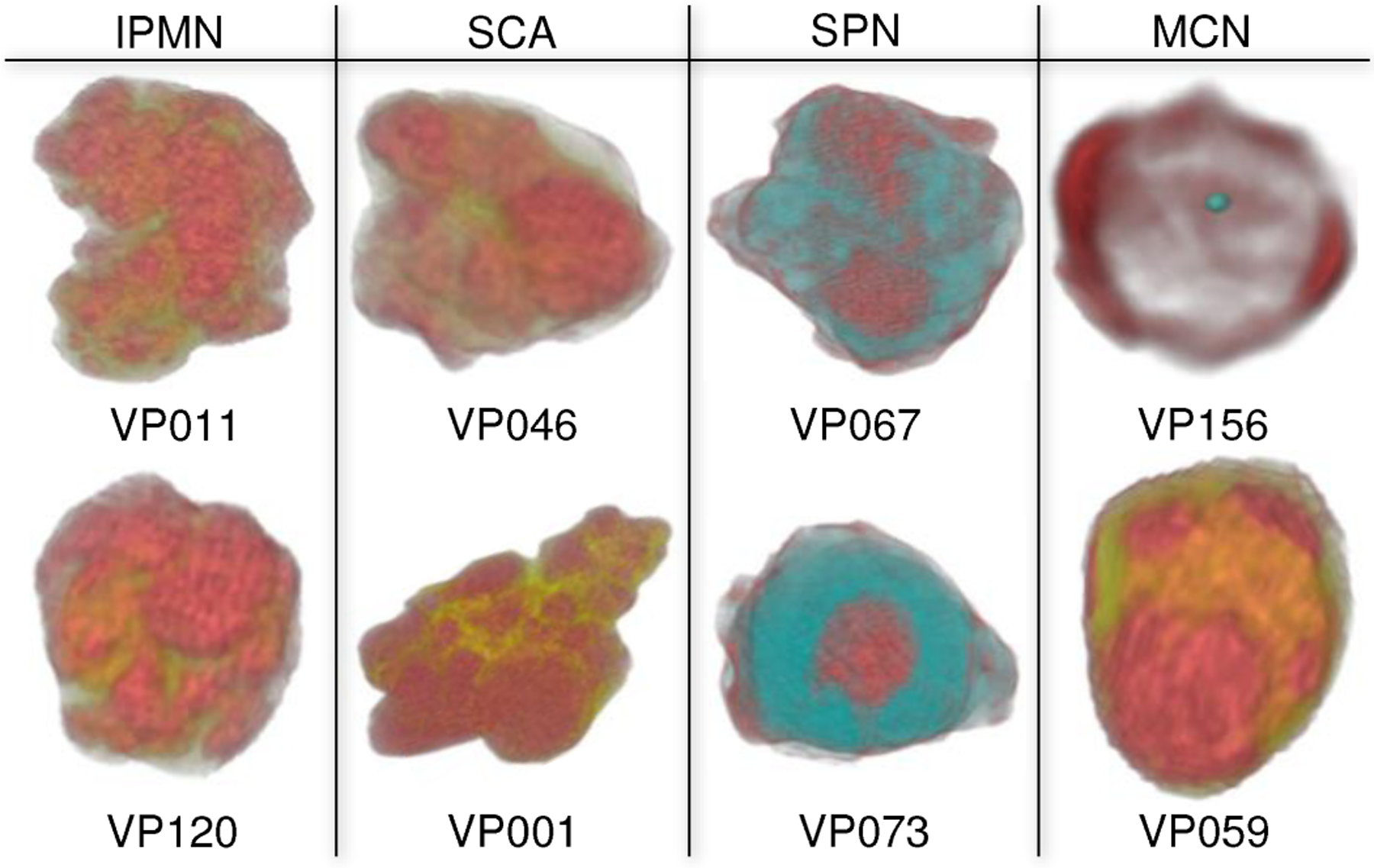 Fig. 13.