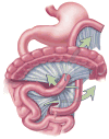 Fig 9