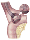Fig 17