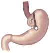 Fig 7