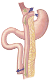 Fig 15