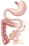 Fig 8