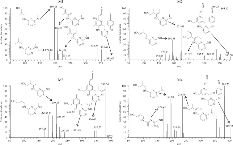 Fig 3