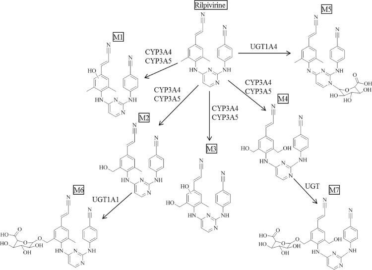 Fig 10