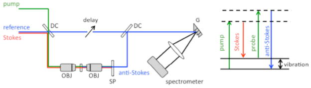 Fig. 4