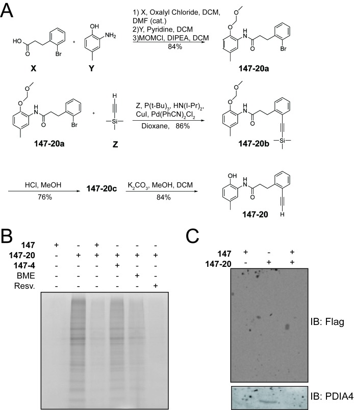 Figure 3—figure supplement 1.