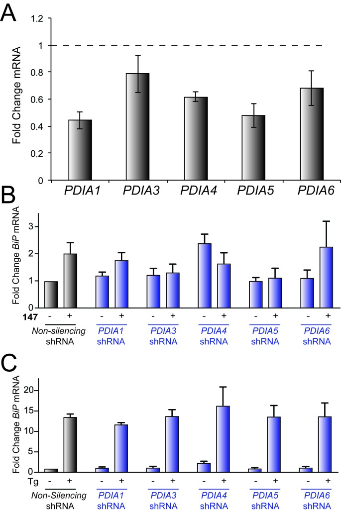 Figure 5—figure supplement 1.