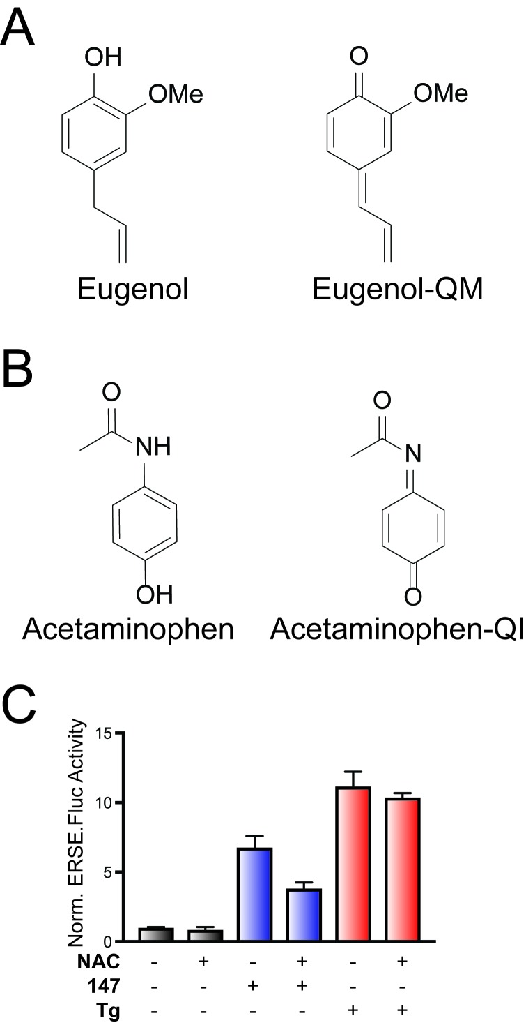 Figure 2—figure supplement 1.