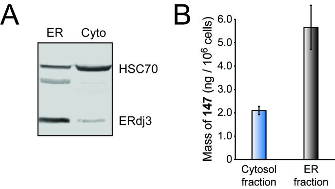 Figure 4—figure supplement 2.