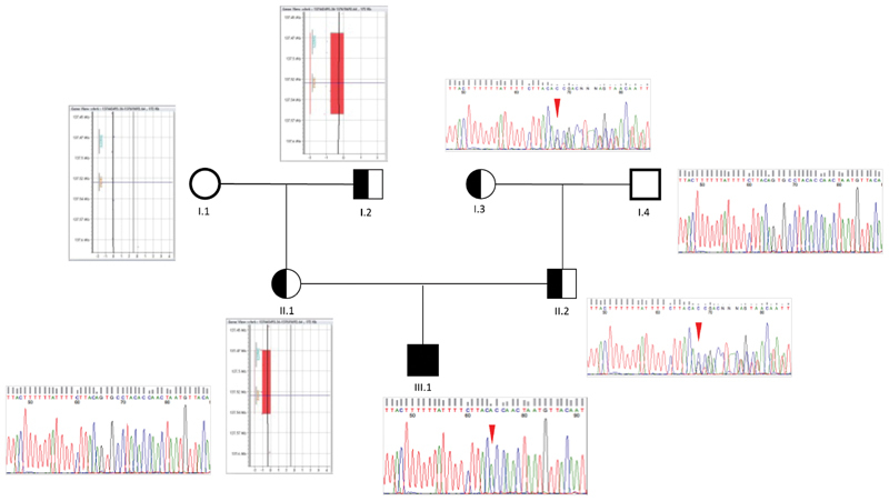 Fig. 4