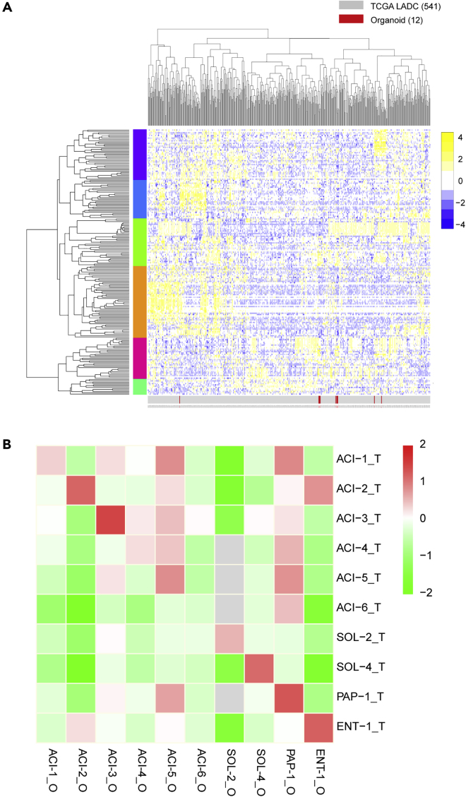 Figure 4