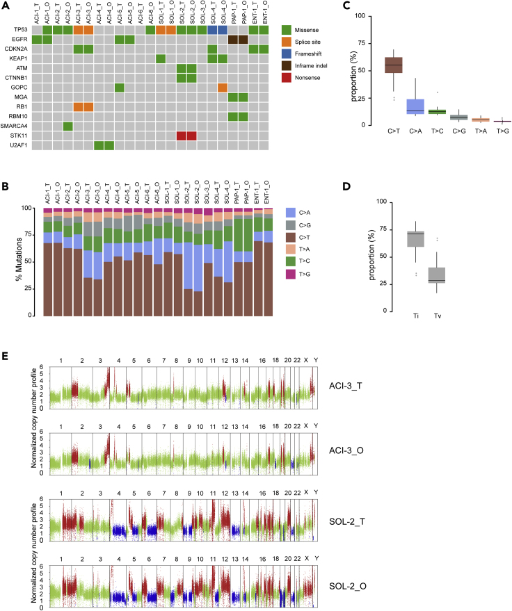 Figure 3