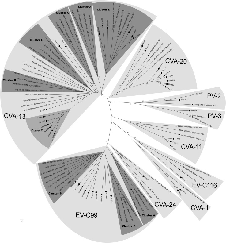 Fig. 2