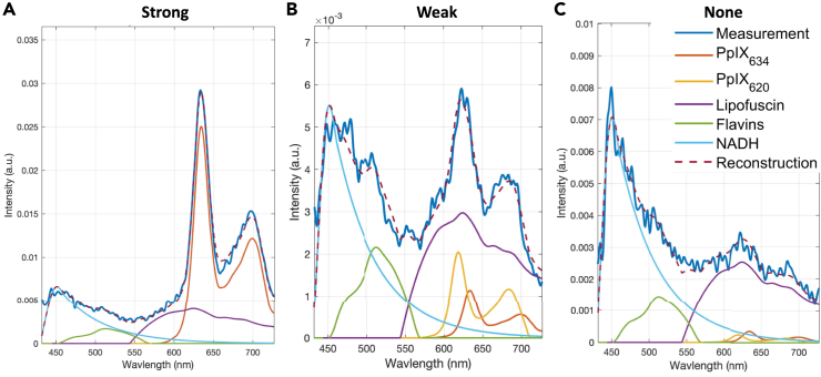 Figure 2