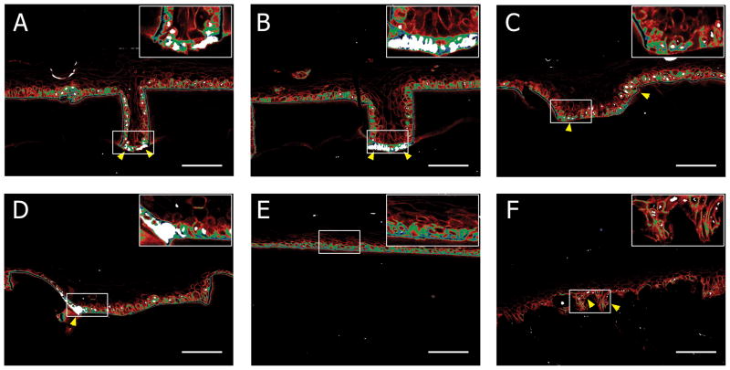 Figure 6