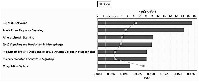 Fig 6