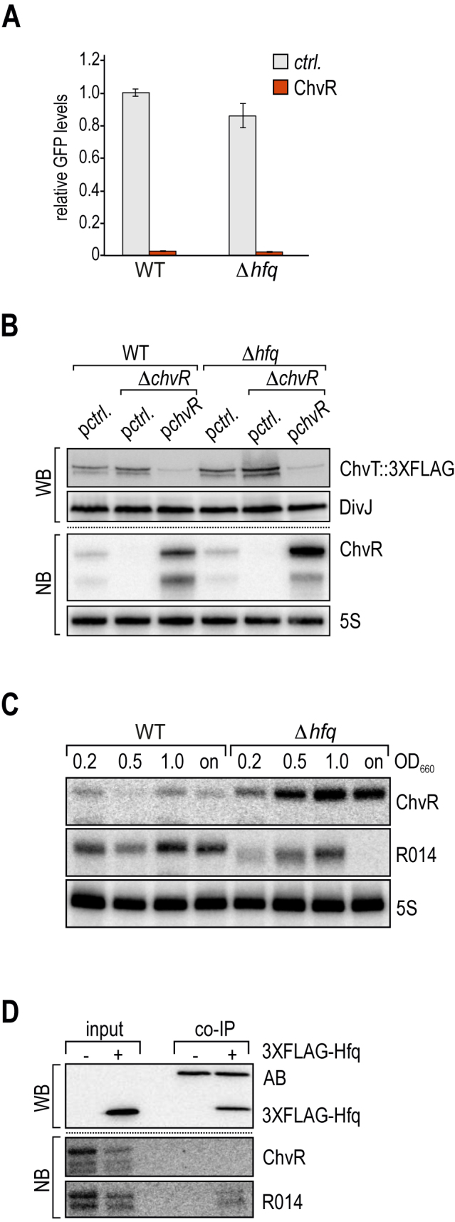 Figure 6.