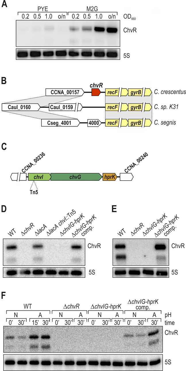 Figure 2.