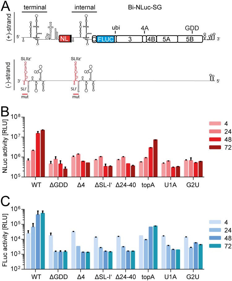 FIG 4