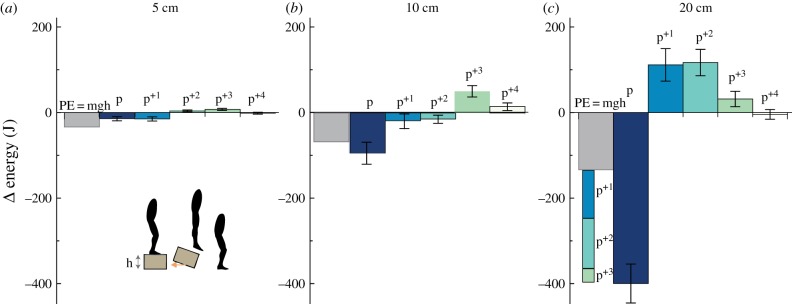 Figure 7.