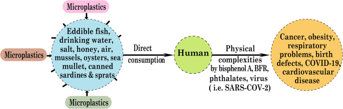 Scheme 3