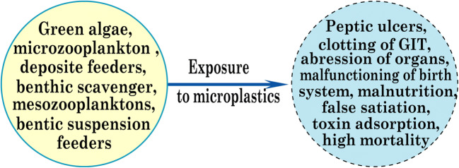 Scheme 4