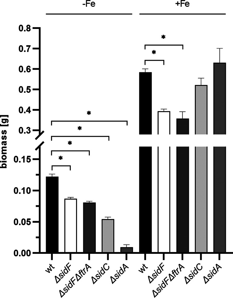 FIG 8