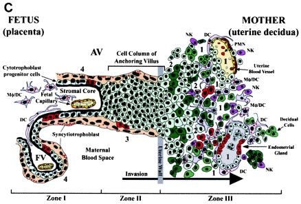 FIG.4.