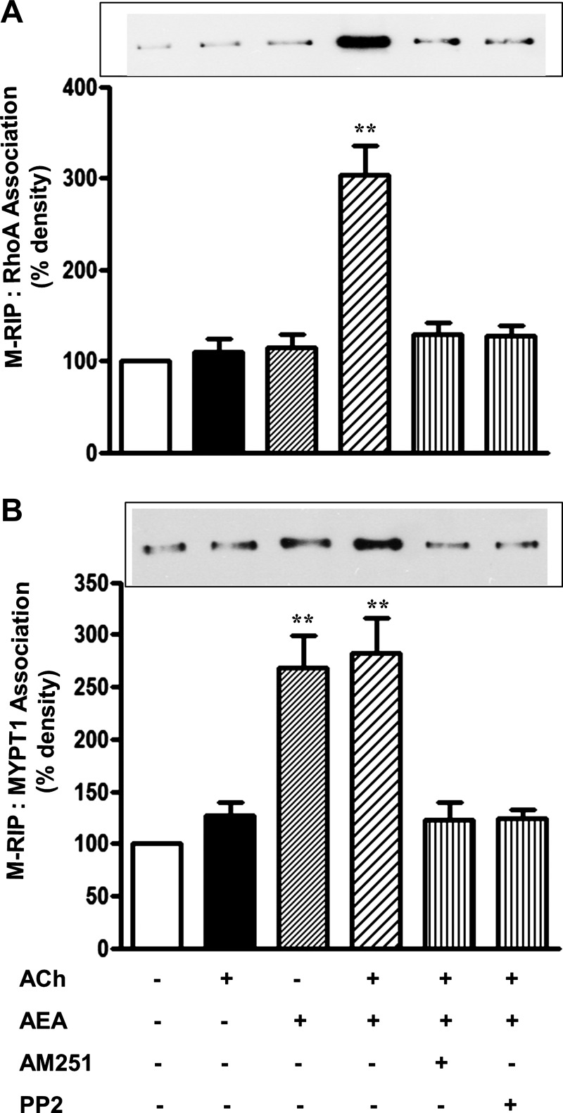 Fig. 9.