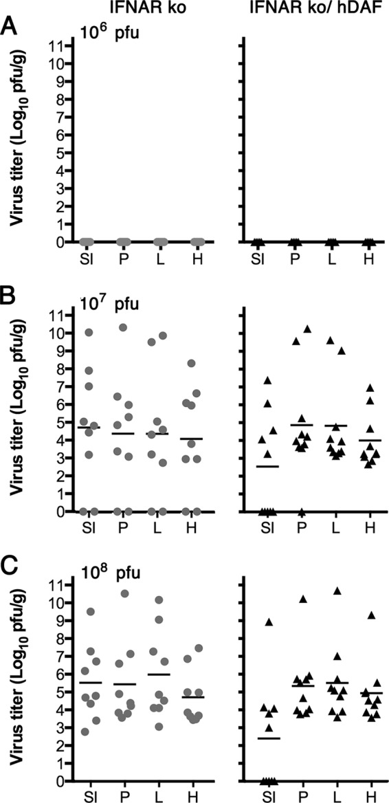 FIG 4