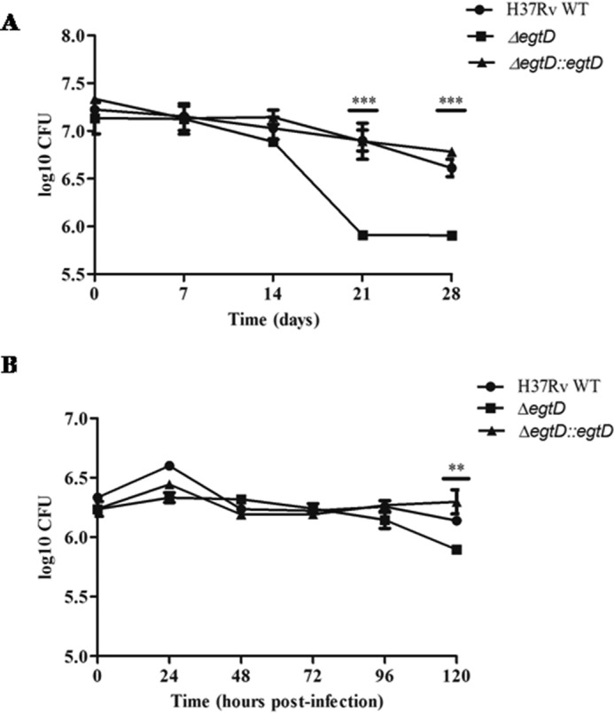 FIGURE 9.