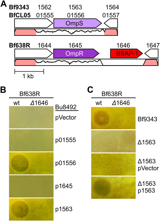 FIG 4 