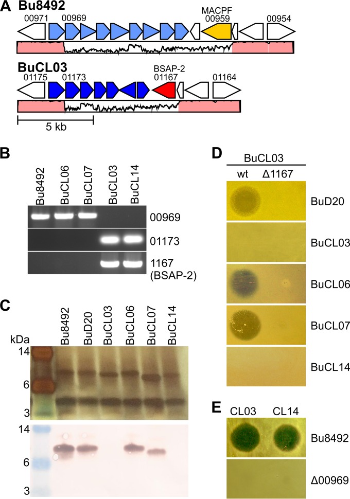 FIG 3 