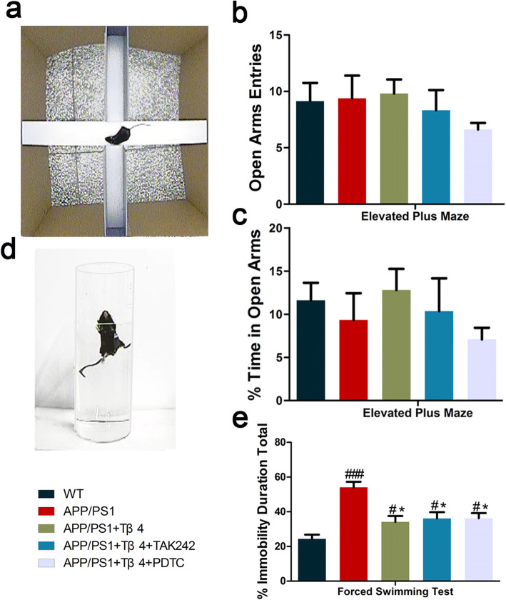 Fig. 10