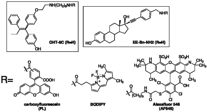 Scheme 2