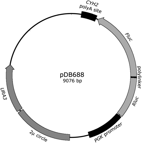 FIGURE 1.