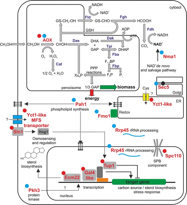 Fig. 3