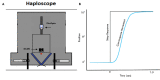 Figure 2A