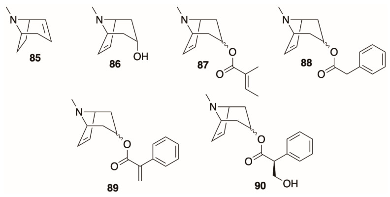 Figure 8