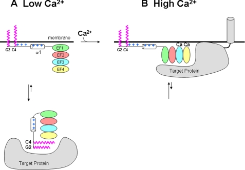 FIGURE 7.