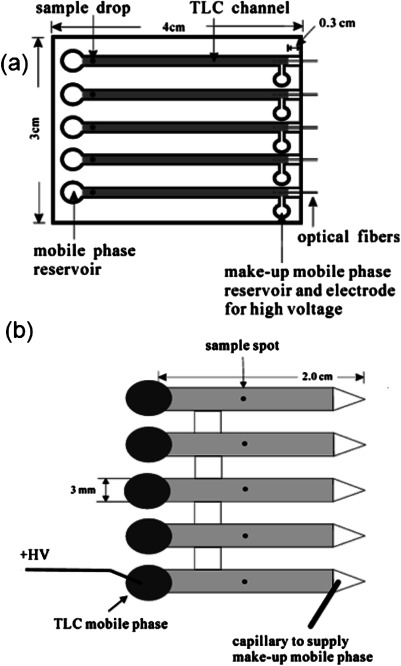 Fig. 5. Schematic diagram of TLC-ESI interface with (a) C18-packed channels inserted with optical fibers and (b) commercial TLC strips. (Figs. 5(a) & (b) were reproduced with permission from ref. 46.)