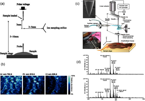 Fig. 2. (a) Schematic diagram of PESI setup. (Reproduced with permission from ref. 9.) (b) PESI-MS images of mouse brain section for different phospholipids: m/z 782.6 ([PC 34 : 1+Na]+), m/z 810.6 ([PC 36 : 1+Na]+) and m/z 826.6 ([PC 36 : 1+K]+). (Reproduced with permission from ref. 24.) (c) PESI setup for in vivo analysis of living mice. (d) PESI mass spectra acquired for normal (upper) and steatotic (lower) mice. (Figs. 2(c) & (d) were reproduced with permission from ref. 26.)