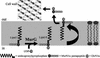 FIG. 1.