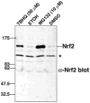 Fig. 51.4