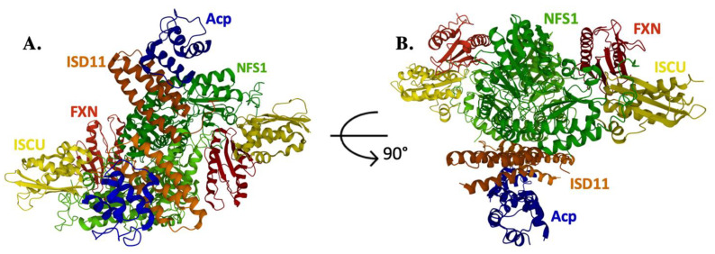 Figure 2