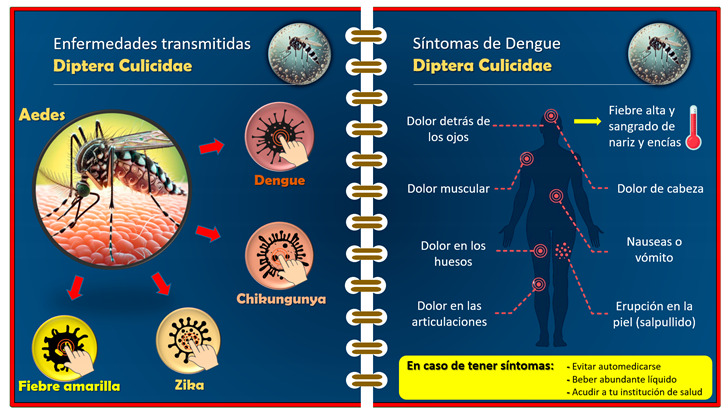 graphic file with name tropicalmed-09-00256-i003.jpg